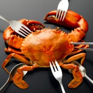 XPOSE Food - Crab